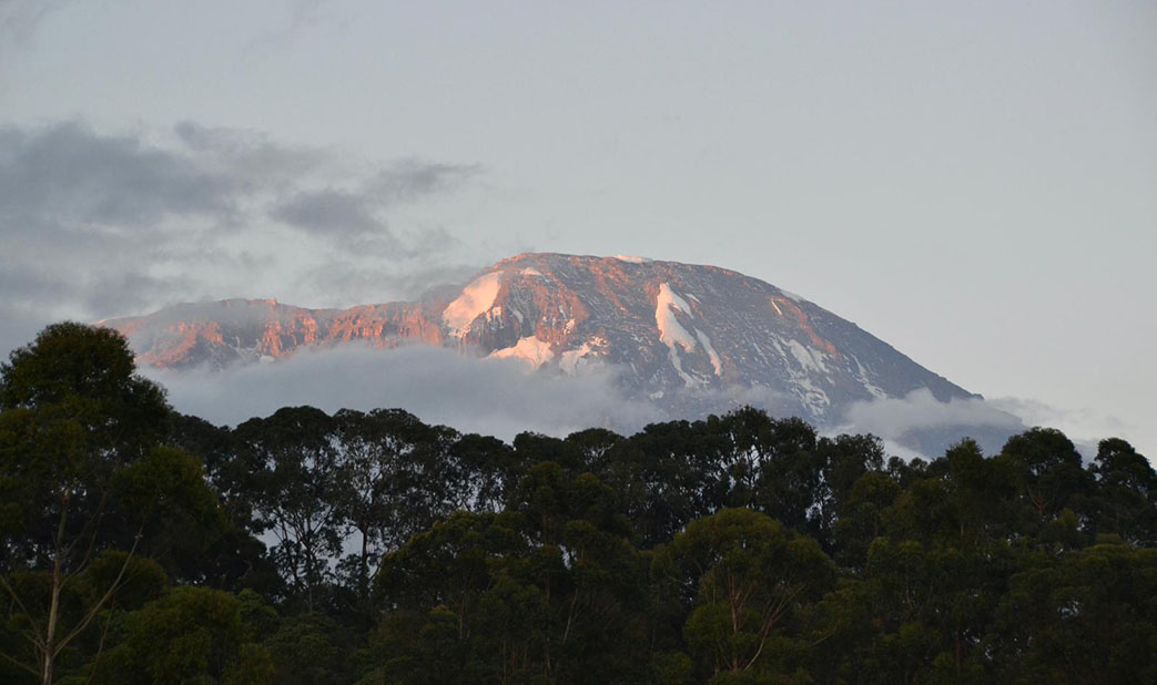 The peak of Mount Kilimanjaro in Tanzania is framed by green tress and clouds in the foreground.